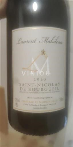 Loire-dalen Saint-Nicolas-De-Bourgueil Château Le Moulin-Neuf 2023