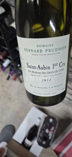 Bourgondië Saint-Aubin Premier Cru Domaine Bernard Prudhon Les Murgers des Dents de Chien 2022