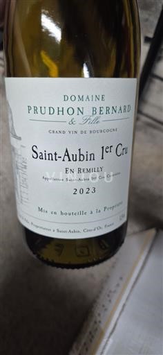 Bourgogne Ikke specificeret Premier Cru Domaine Prudhon Bernard En Remilly 2023