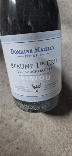 Bourgogne Beaune Premier Cru Domaine Mazilly Les Boucherottes 2021