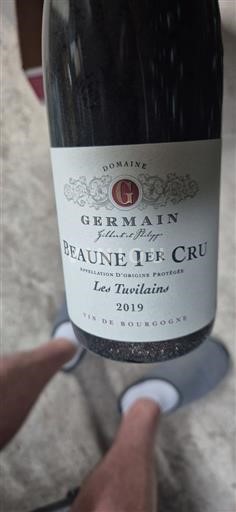 Bourgogne Beaune Premier Cru Domaine Germain Les Tuvilains 2019