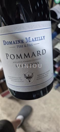 Burgundy Pommard Domaine Mazilly Les Noizons 2022