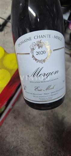 Beaujolais Morgon Domaine Chante-Merle 2020