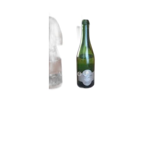 Vin Effervescent Blanc sec Pierre Delize Non millésimé France Vallée de la Loire AOC