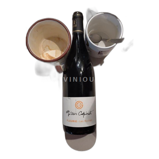 Beaujolais Fleurie Gilles Copperet 2023