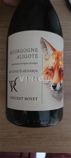 Bourgogne Bourgogne Aligoté Vincent Royet Les Chante-Renards 2023