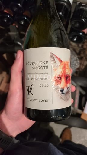 Burgundy Bourgogne Aligoté Vincent Royet Les Chante-Renards 2023