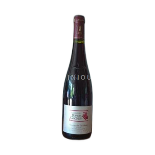 Dolina Loare Domaine Des Bonnes Gagnes Rouge de Grolleau Neleten.