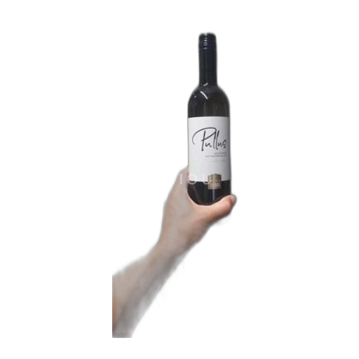 Eastern Slovenia Štajerska Slovenia Ptujska Klet Pullus sauvignon blanc 2024