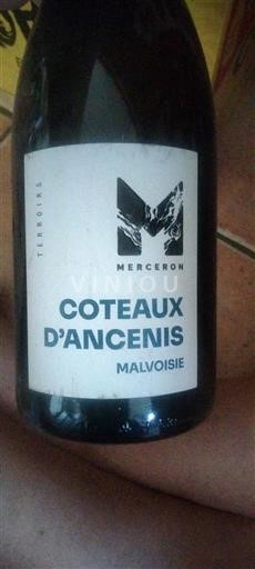 Dolina Loare Coteaux d'Ancenis Merceron Neleten.