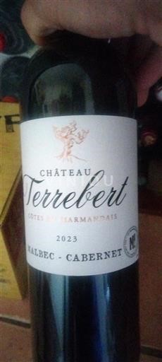 Sud-Ovest Côtes-du-marmandais Château Terrebert 2023