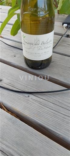 Loiretal Muscadet-Sèvre-et-Maine Domaine Des Baluetts Les Coteaux 2022