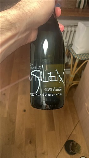 Loiredalen Coteaux-du-giennois Clément & Florian Berthier Terre de Silex 2023