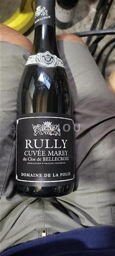 Borgogna Rully Domaine La Folie Marey 2019