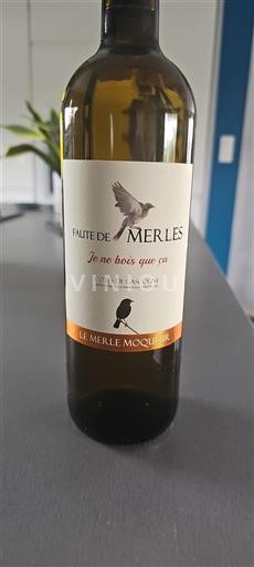 Sydväst Côtes de Gascogne Le Merle Moqueur Faute de Merles 2024