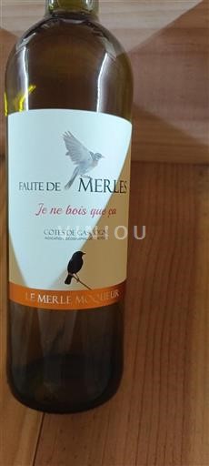 Sydvestfrankrig Côtes de Gascogne Le Merle Moqueur Faute de Merles 2024