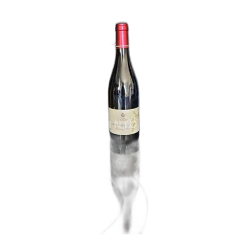 Burgundsko Mercurey Premier Cru Domaine David Lefort Champs Martin 2022