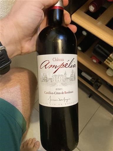 Bordéus Castillon-côtes-de-bordeaux Château Ampélia 2021