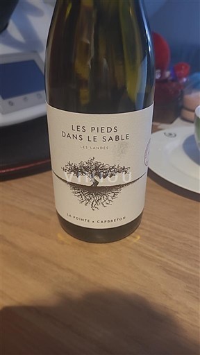 Sudoeste Não especificado La Pointe Les Pieds dans le Sable 2024