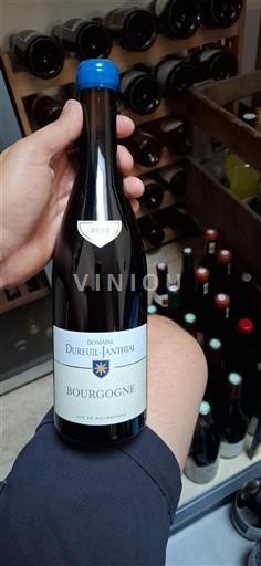Burgundsko Domaine Dureuil-Janthial 2022