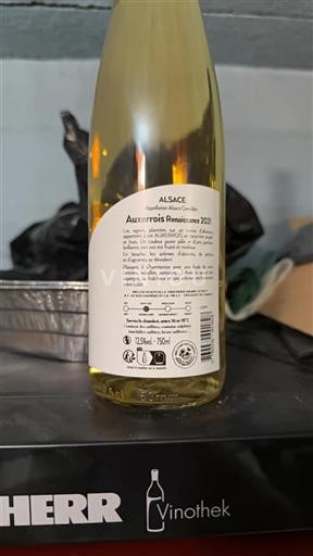 Vin Blanc sec Renaissance Domaine Ruhlmann Schutz 2021 France Alsace Auxerrois AOC