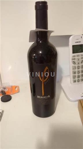 Sudoeste Côtes de Gascogne Horgelus 2021