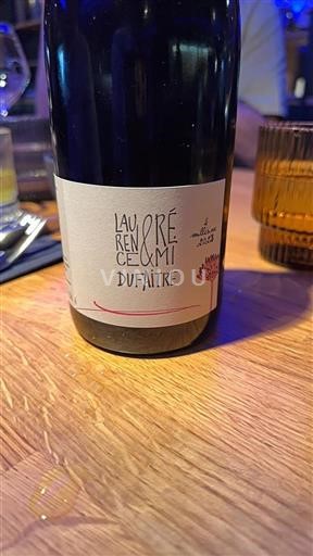 Beaujolais No especificado Laurence et Rémi Dufaitre 2023