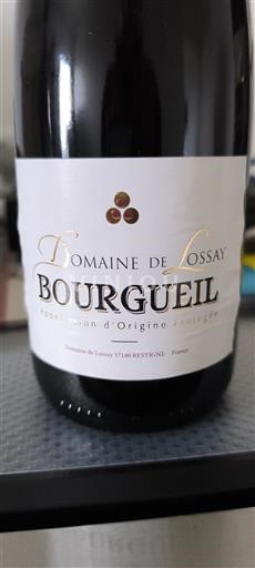 Thung lũng sông Loire Bourgueil Domaine de Lossay 2023