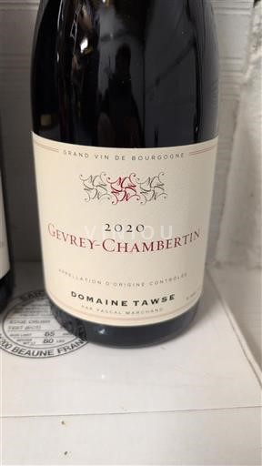 Bourgogne Gevrey-chambertin Domaine Tawse 2020