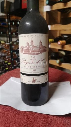 Bordeaux Saint-Estèphe Les Pagodes de Cos 1995