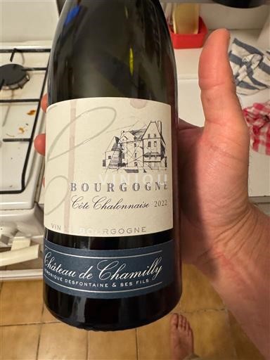 Burgundija Bourgogne-Côte-Chalonnaise Château Chamilly 2022