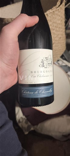 Borgogna Borgogna-Costa-Chalonnais Château Chamilly 2022