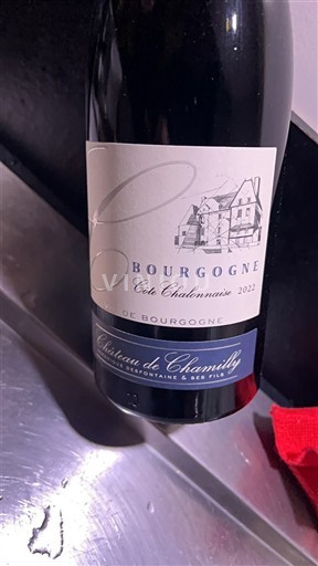 Бургундія Бургундія-Кот-Шалонез Château Chamilly 2022