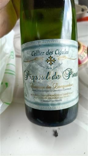 Languedoc Picpoul-de-pinet Cellier des Cigales Réserve Balta Jean-Paul Neročník