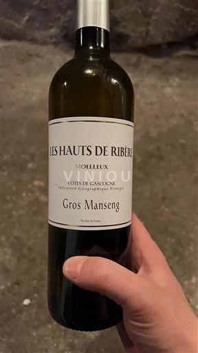 Jugozahod Côtes de Gascogne Les Hauts de Ribère Neleten.