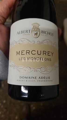 Burgundija Mercurey Domaine Adélie Les Montelons 2021