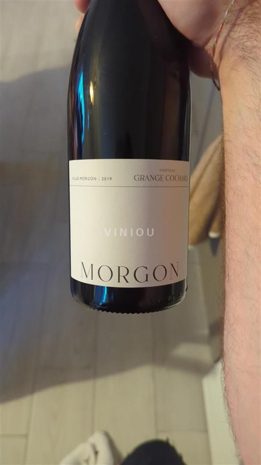 Beaujolais Morgon Grange Cochard 2019
