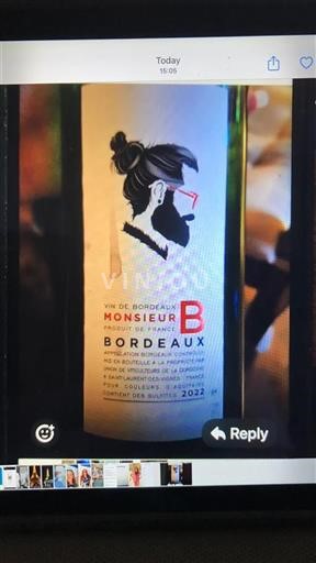 Bordeaux Union de Viticulteurs de la Dordogne Monsieur B 2022