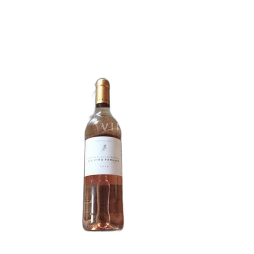 Provansa Coteaux Varois v Provansi Les Cinq Rameaux 2024