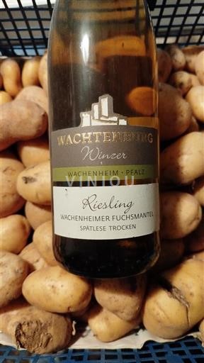 Pfalz Niet gespecificeerd Château Wachtenburg Winzer Wachenheimer Fuchsmantel Niet-geïntegreerd