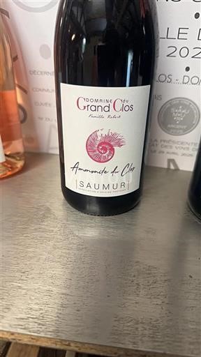 Dolina Loare Saumur Domaine Grand Clos Ammonite du Clos 2021