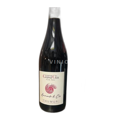 Loirevallei Saumur Domaine Grand Clos Ammonite du Clos 2021