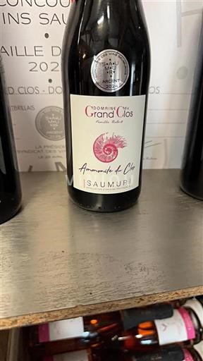 Loirevallei Saumur Domaine Grand Clos Ammonite du Clos 2022