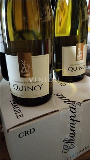 Loirevallei Quincy Domaine Des Ballandors 2023