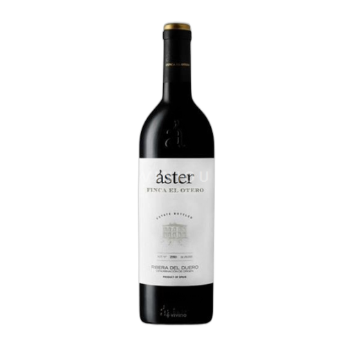 Castilien og León Ribera del Duero Áster Finca El Otero 2016