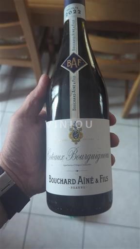 Bourgogne Bourgogne skråninger Bouchard Aîné & Fils 2022