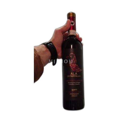 Toscana Chianti Classico Tenimenti Geggiano Ala di Farfalla 2022
