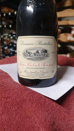 Dolina Loare Saint-Nicolas-De-Bourgueil Domaine Pantaleon 2016