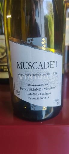 Vallée de la Loire Muscadet Patrice BRIAND Non Millésimé