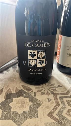 Languedoc Saint-Chinian Domaine Cambis Caudomato 2021
